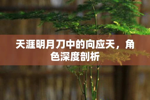 天涯明月刀中的向应天图片