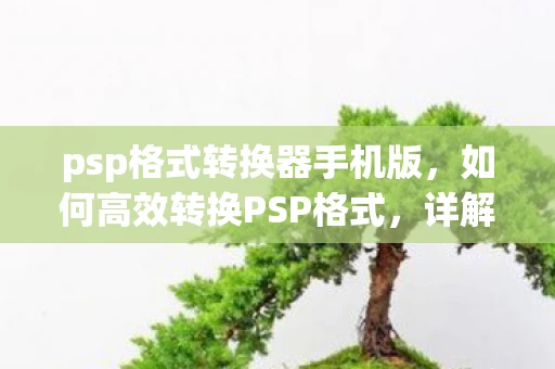 psp格式转换器手机版，如何高效转换PSP格式，详解PSP格式转换器