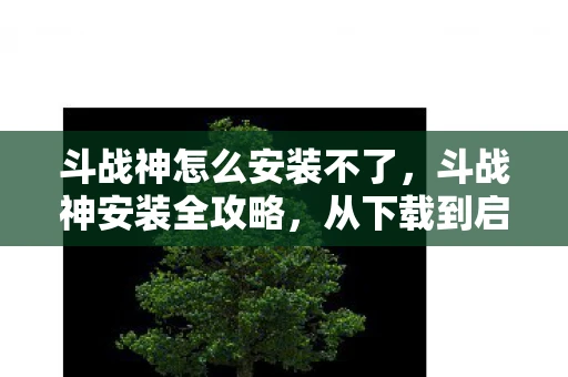 斗战神怎么安装不了，斗战神安装全攻略，从下载到启动的详细步骤