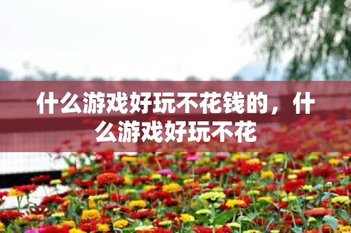 什么游戏好玩不花钱的，什么游戏好玩不花