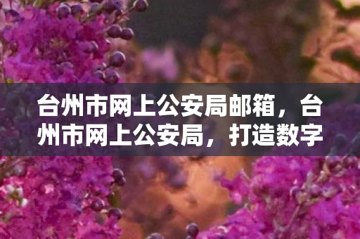 台州市网上公安局邮箱，台州市网上公安局，打造数字化时代的警务新生态