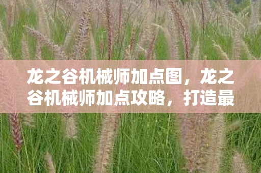 龙之谷机械师加点图,龙之谷机械师加点攻略,打造最强机械师 龙之谷机械师加点图,龙之谷机械师加点攻略,打造最强机械师