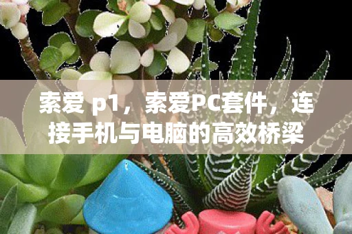 索爱 p1，索爱PC套件，连接手机与电脑的高效桥梁