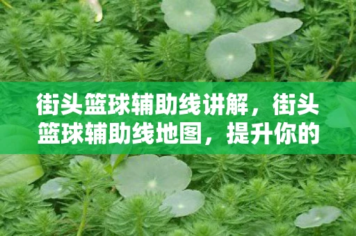 街头篮球辅助线讲解,街头篮球辅助线地图,提升你的球场技巧 街头篮球辅助线讲解,街头篮球辅助线地图,提升你的球场技巧