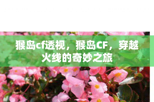 猴岛cf透视，猴岛CF，穿越火线的奇妙之旅