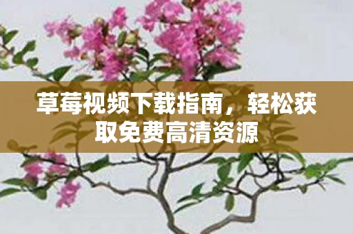 轻松获取免费高清资源图片