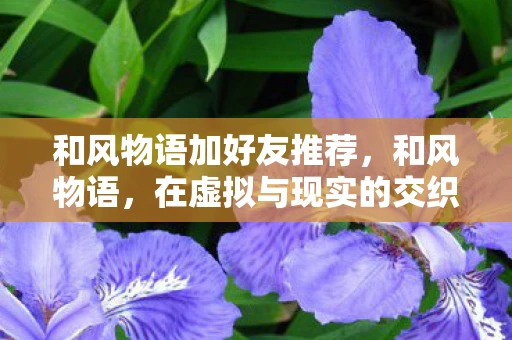 和风物语加好友推荐,和风物语,在虚拟与现实的交织中找寻友情 和风物语加好友推荐,和风物语,在虚拟与现实的交织中找寻友情