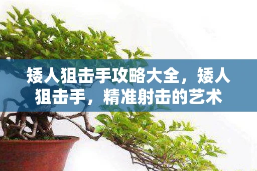 矮人狙击手攻略大全，矮人狙击手，精准射击的艺术