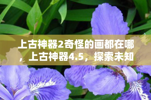 上古神器2奇怪的画都在哪，上古神器4.5，探索未知世界的神秘之旅