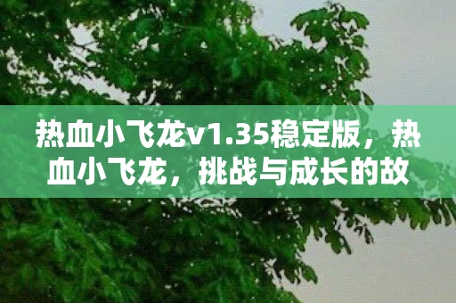 热血小飞龙v1.35稳定版，热血小飞龙，挑战与成长的故事