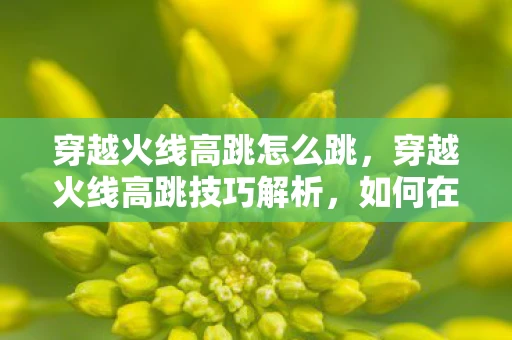 穿越火线高跳怎么跳，穿越火线高跳技巧解析，如何在游戏中实现高效跳跃