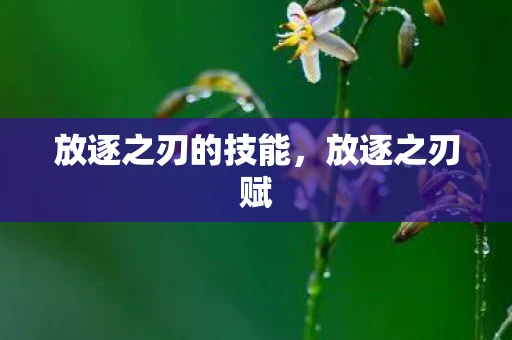 放逐之刃的技能，放逐之刃赋