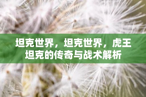 坦克世界,坦克世界,虎王坦克的传奇与战术解析 坦克世界,坦克世界,虎王坦克的传奇与战术解析