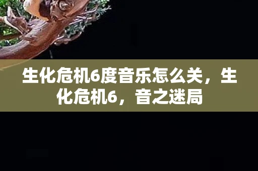 生化危机6度音乐怎么关，生化危机6，音之迷局