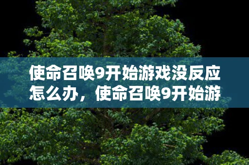 使命召唤9开始游戏没反应怎么办，使命召唤9开始游戏没反应，解决方法与排查步骤