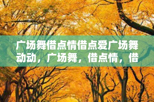 广场舞借点情借点爱广场舞动动，广场舞，借点情，借点爱