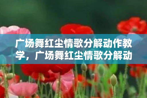 广场舞红尘情歌分解动作教学,广场舞红尘情歌分解动作详解 广场舞红尘情歌分解动作教学,广场舞红尘情歌分解动作详解