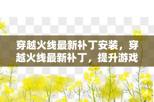 穿越火线最新补丁安装，穿越火线最新补丁，提升游戏体验，修复已知问题