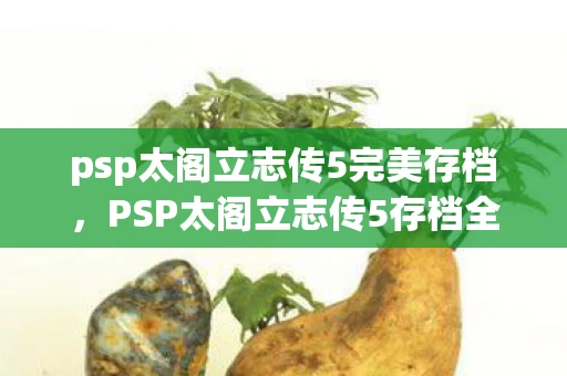 psp太阁立志传5完美存档，PSP太阁立志传5存档全解析，打造你的历史传奇