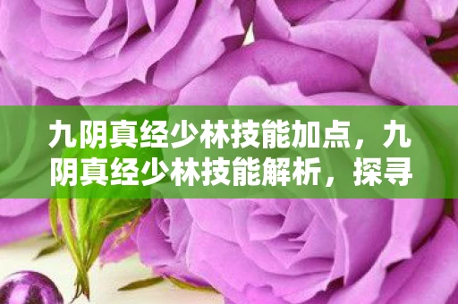 九阴真经少林技能加点,九阴真经少林技能解析,探寻古刹武学的奥秘 九阴真经少林技能加点,九阴真经少林技能解析,探寻古刹武学的奥秘