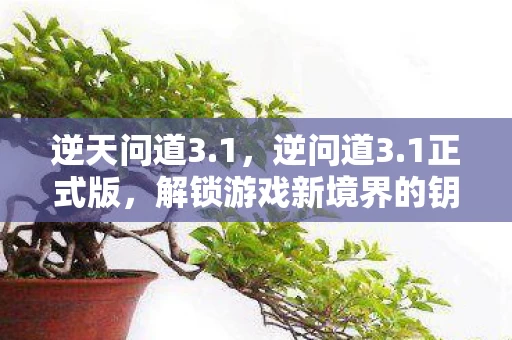 逆天问道3.1,逆问道3.1正式版,解锁游戏新境界的钥匙 逆天问道3.1,逆问道3.1正式版,解锁游戏新境界的钥匙