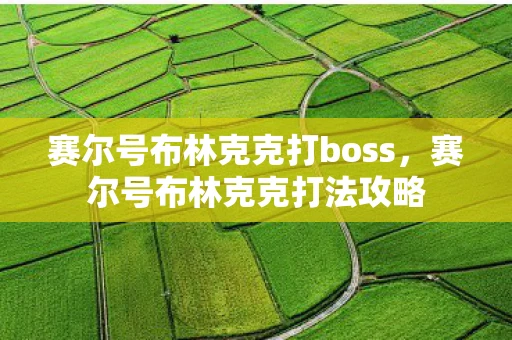 赛尔号布林克克打boss，赛尔号布林克克打法攻略