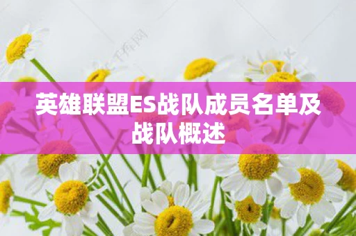 英雄联盟ES战队成员名单及战队概述图片