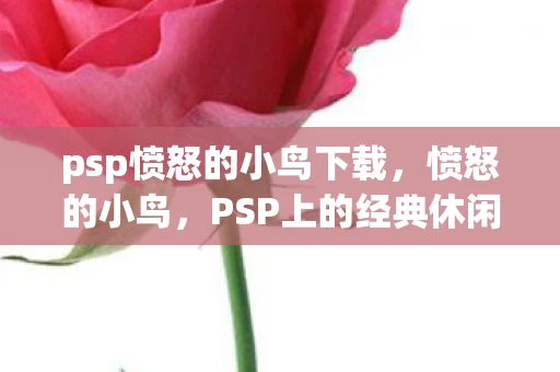 psp愤怒的小鸟下载，愤怒的小鸟，PSP上的经典休闲游戏