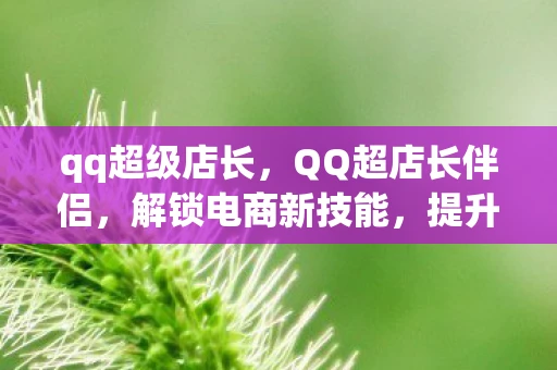 qq超级店长，QQ超店长伴侣，解锁电商新技能，提升店铺运营效率的必备工具