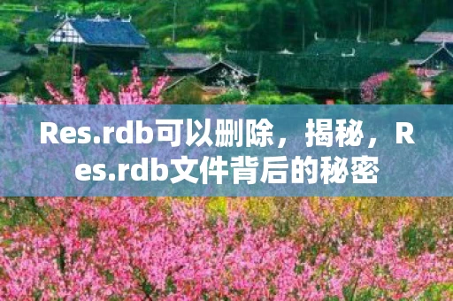 Res.rdb可以删除,揭秘,Res.rdb文件背后的秘密 Res.rdb可以删除,揭秘,Res.rdb文件背后的秘密