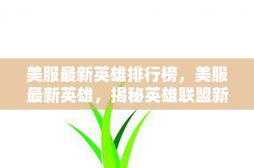 美服最新英雄排行榜,美服最新英雄,揭秘英雄联盟新角色影哨 美服最新英雄排行榜,美服最新英雄,揭秘英雄联盟新角色影哨