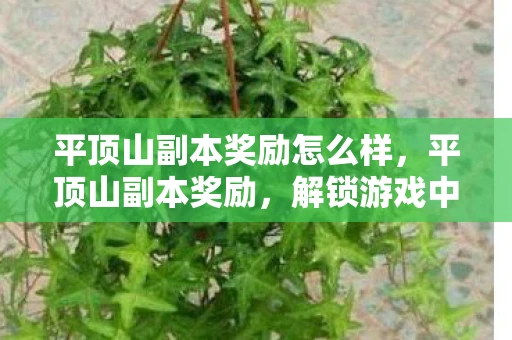 平顶山副本奖励怎么样，平顶山副本奖励，解锁游戏中的隐藏宝藏