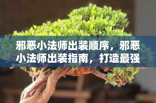 邪恶小法师出装顺序，邪恶小法师出装指南，打造最强法师阵容
