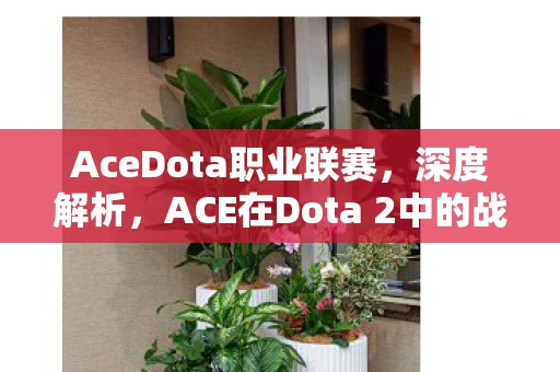 AceDota职业联赛,深度解析,ACE在Dota 2中的战术运用与影响 AceDota职业联赛,深度解析,ACE在Dota 2中的战术运用与影响