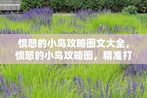 愤怒的小鸟攻略图文大全，愤怒的小鸟攻略图，精准打击，解锁所有关卡