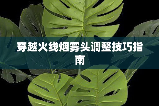 穿越火线烟雾头调整技巧指南图片