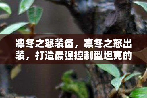 凛冬之怒装备，凛冬之怒出装，打造最强控制型坦克的攻略