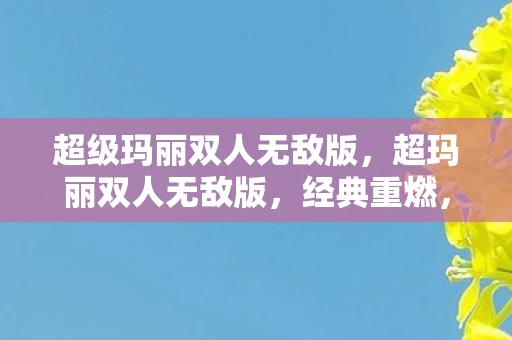 超级玛丽双人无敌版，超玛丽双人无敌版，经典重燃，双倍的乐趣与冒险