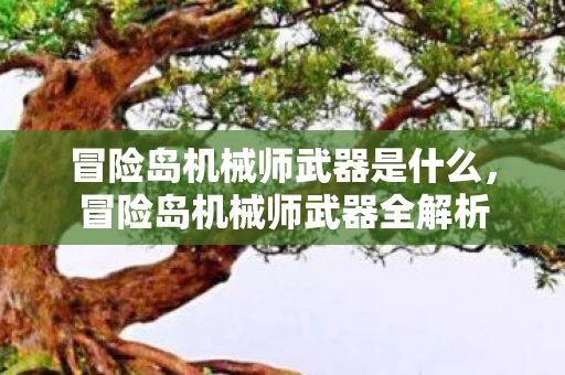 冒险岛机械师武器是什么,冒险岛机械师武器全解析 冒险岛机械师武器是什么,冒险岛机械师武器全解析