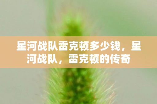 星河战队雷克顿多少钱，星河战队，雷克顿的传奇