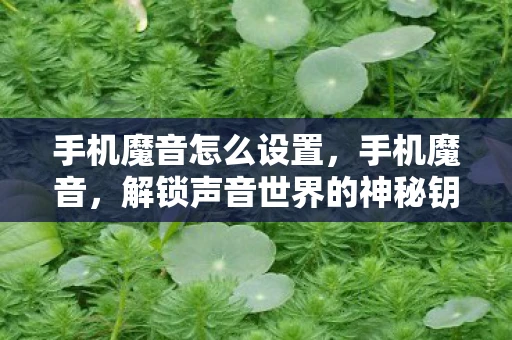 手机魔音怎么设置,手机魔音,解锁声音世界的神秘钥匙 手机魔音怎么设置,手机魔音,解锁声音世界的神秘钥匙