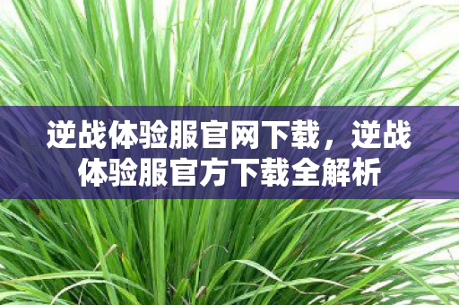 逆战体验服官网下载,逆战体验服官方下载全解析 逆战体验服官网下载,逆战体验服官方下载全解析
