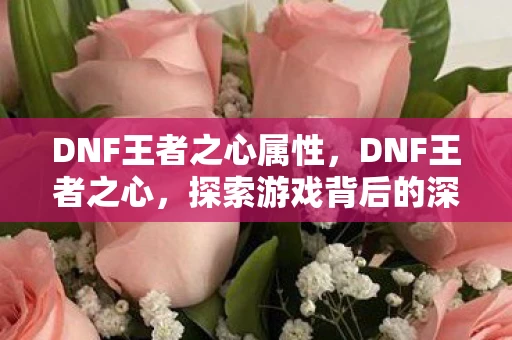 DNF王者之心属性,DNF王者之心,探索游戏背后的深层意义 DNF王者之心属性,DNF王者之心,探索游戏背后的深层意义