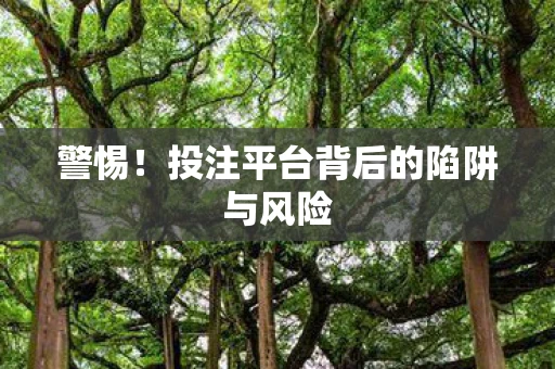 警惕！投注平台背后的陷阱与风险