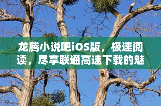 尽享联通高速下载的魅力图片