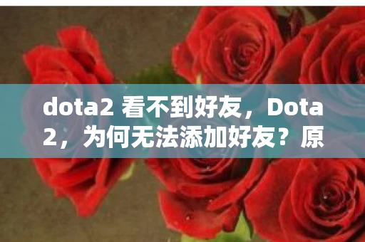 dota2 看不到好友，Dota2，为何无法添加好友？原因与解决方案全解析