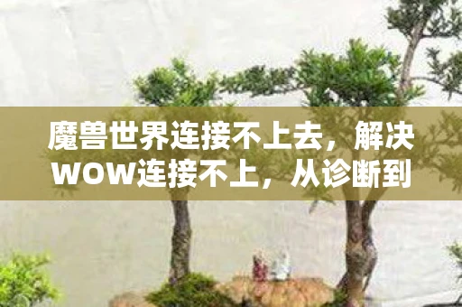 魔兽世界连接不上去，解决WOW连接不上，从诊断到修复的全面指南