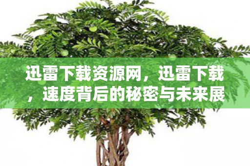 迅雷下载资源网，迅雷下载，速度背后的秘密与未来展望