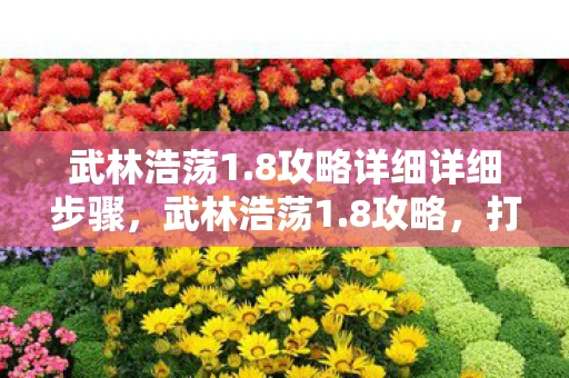 武林浩荡1.8攻略详细详细步骤，武林浩荡1.8攻略，打造最强武林高手的秘籍