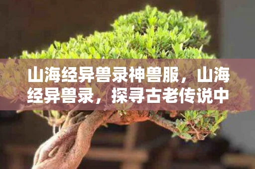 山海经异兽录神兽服，山海经异兽录，探寻古老传说中的神秘神兽
